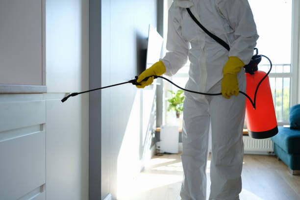 Best Mold Remediation  in Mishicot, WI