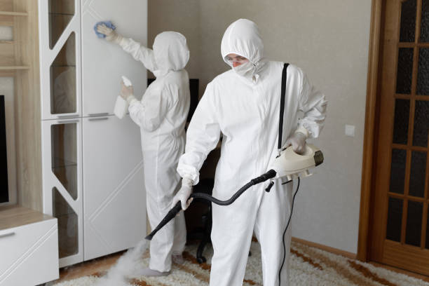 Best Commercial Mold Removal  in Mishicot, WI