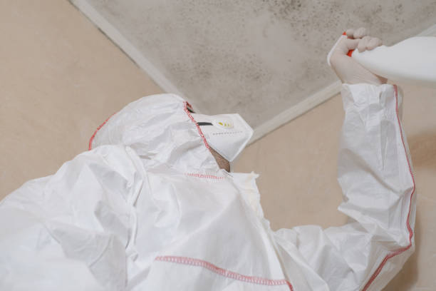 Best Mold Remediation Experts  in Mishicot, WI